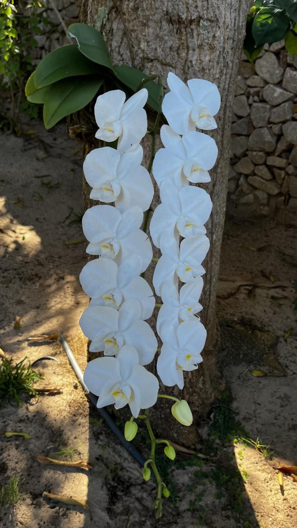 Hotel Da Pipa Praia de Pipa Kültér fotó