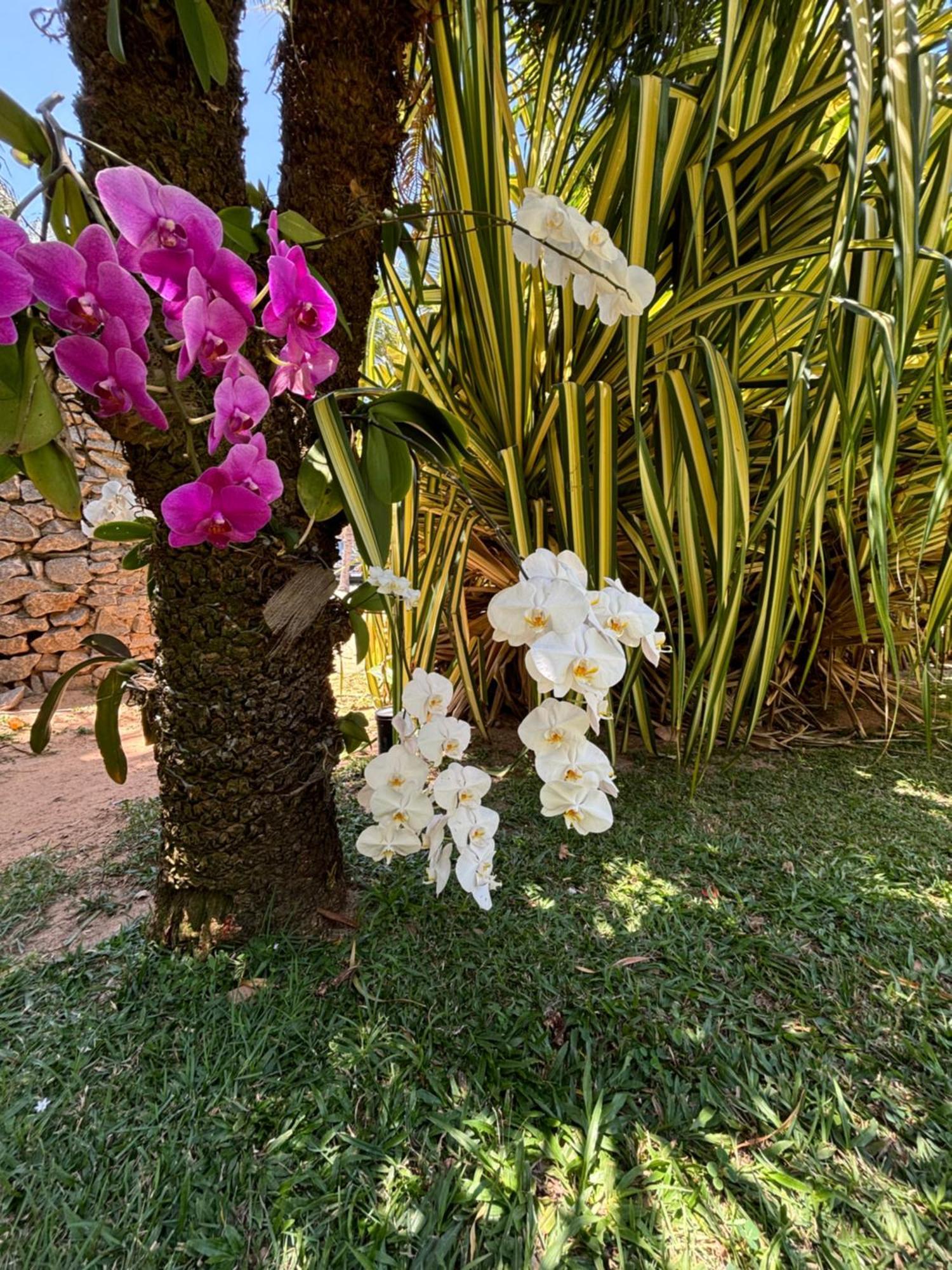Hotel Da Pipa Praia de Pipa Kültér fotó