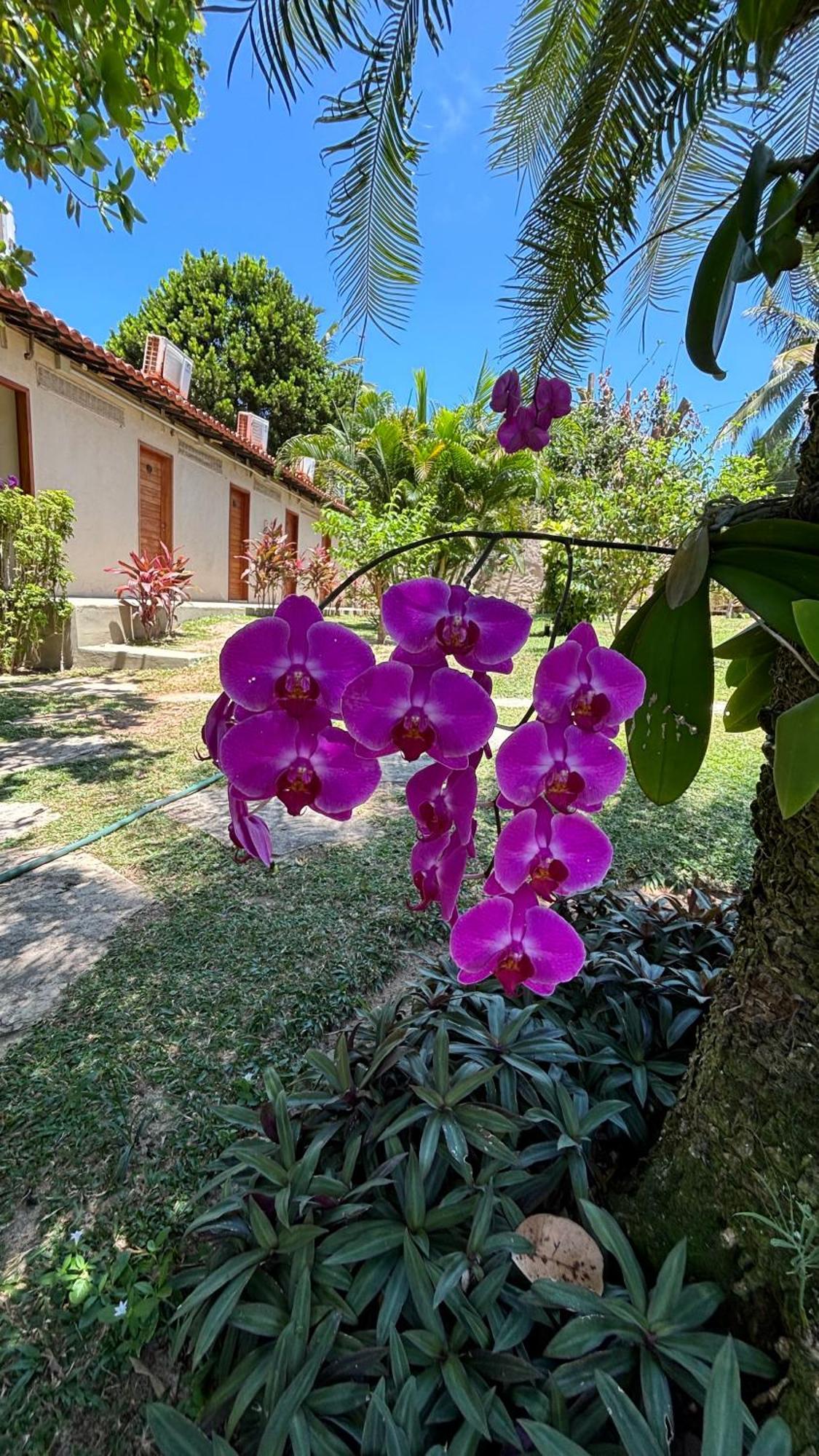 Hotel Da Pipa Praia de Pipa Kültér fotó